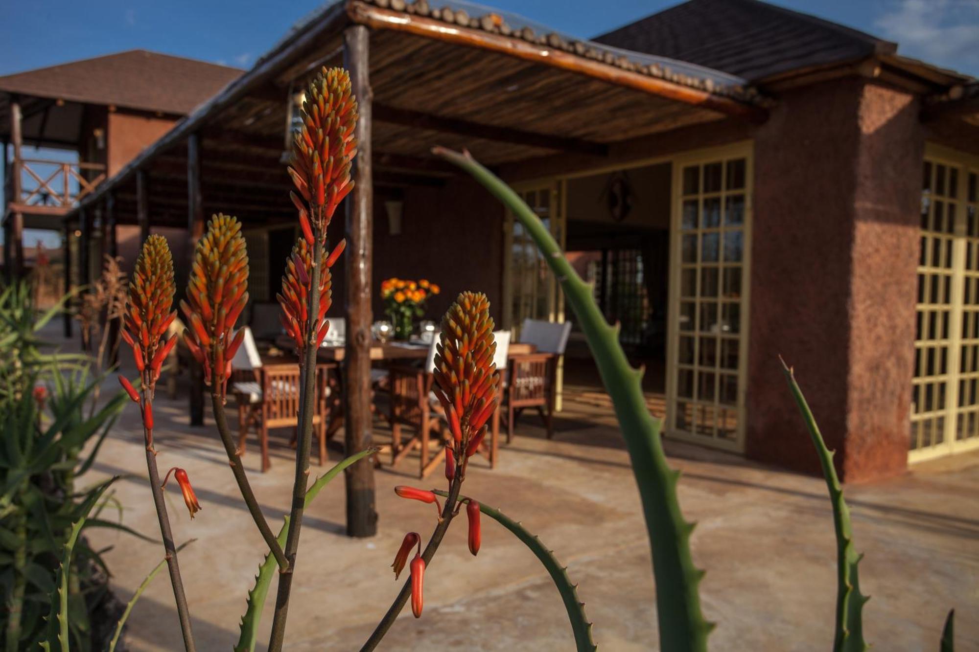 Kili Villa Kilimanjaro Luxury Retreat 阿鲁沙 客房 照片